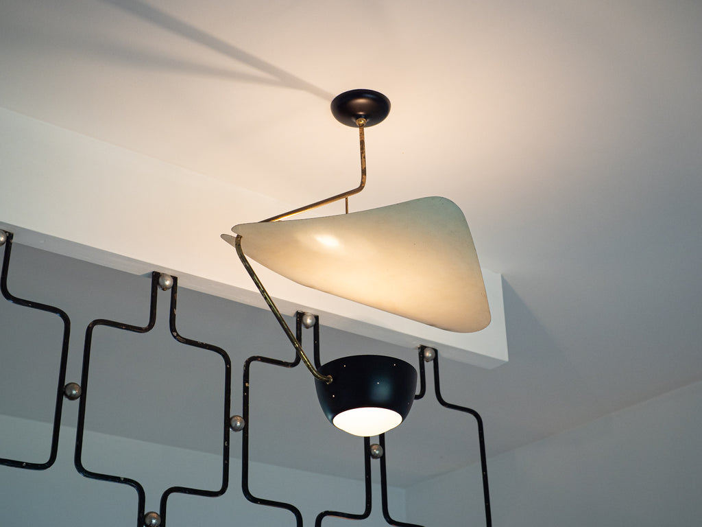 Lustre de Teto com Anteparo em Formato Orgânico