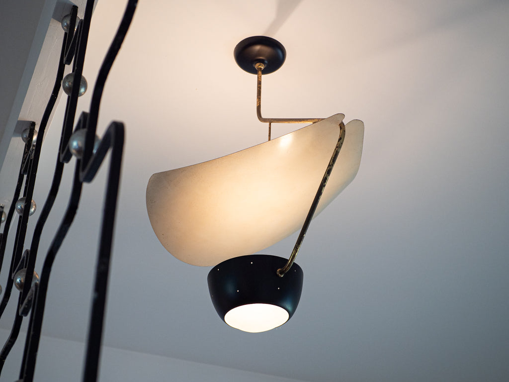 Lustre de Teto com Anteparo em Formato Orgânico