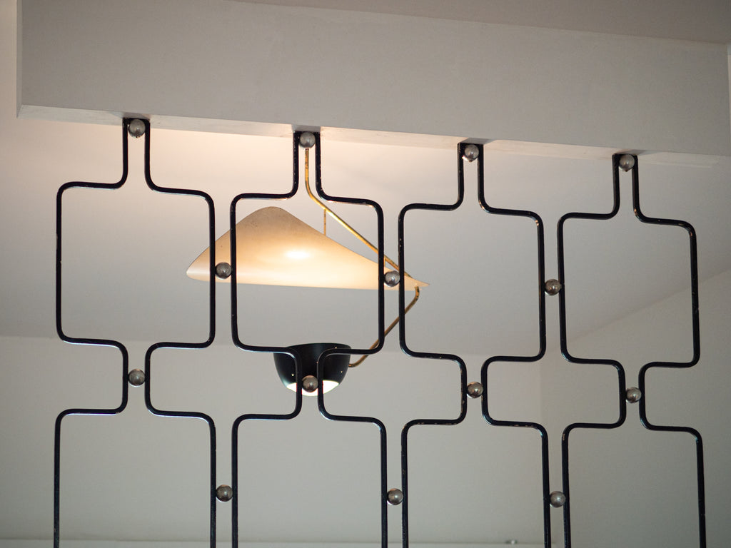 Lustre de Teto com Anteparo em Formato Orgânico