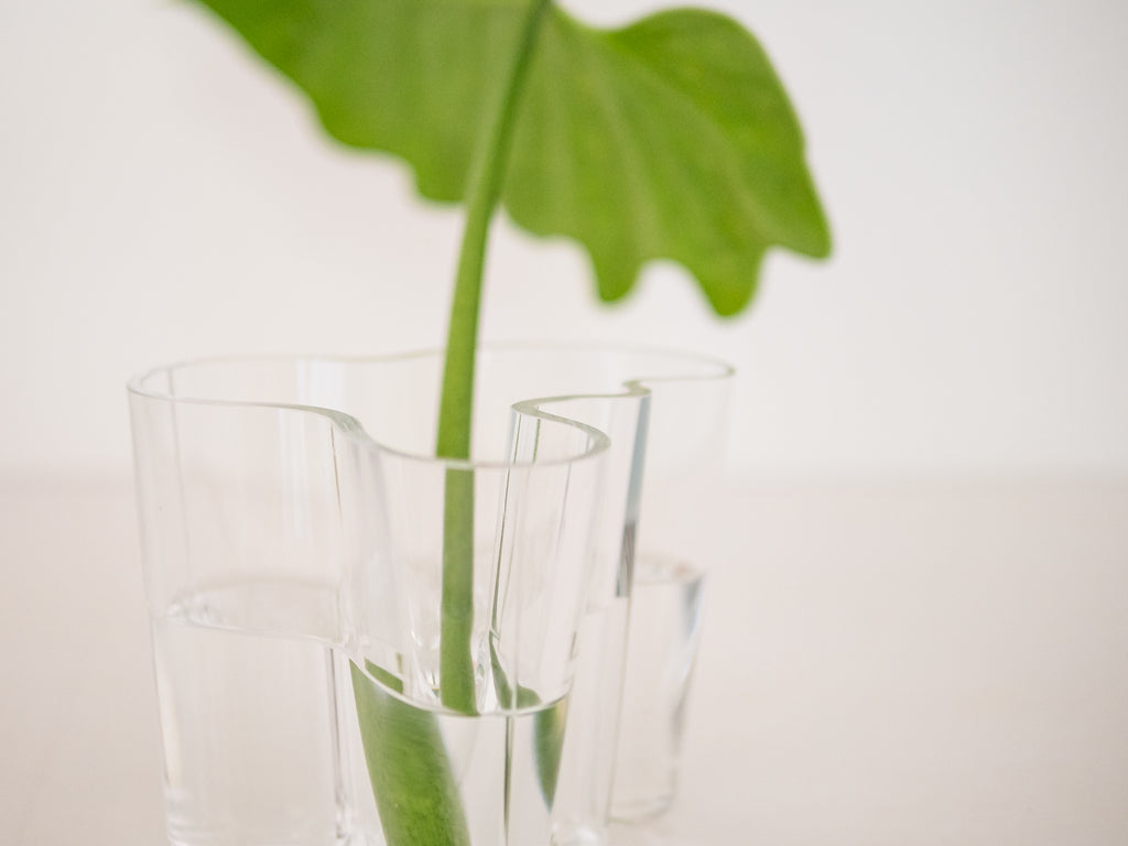 Alvar Aalto | Iittala | Vaso Savoy