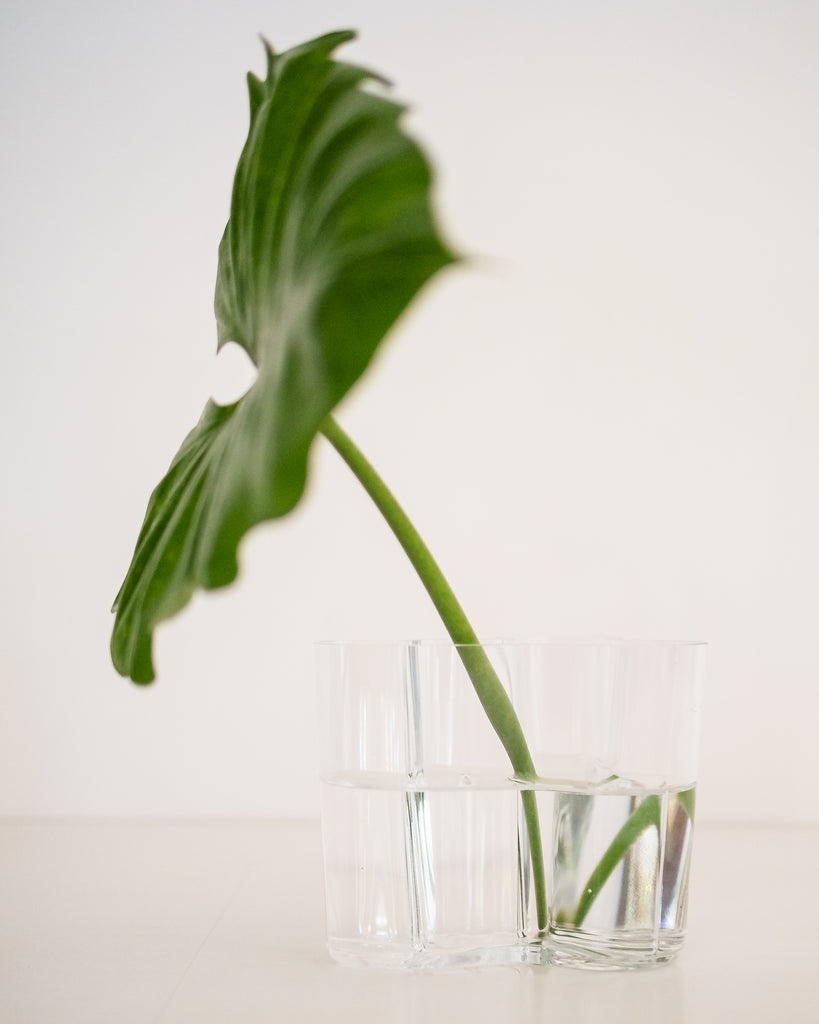 Alvar Aalto | Iittala | Vaso Savoy