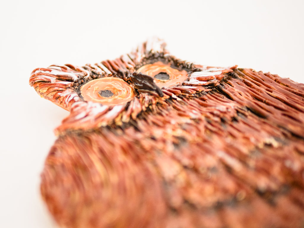 Cerâmica de Parede com Figura de Coruja