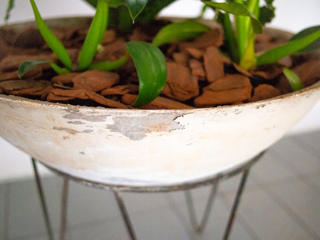 Willy Guhl | Vaso Redondo