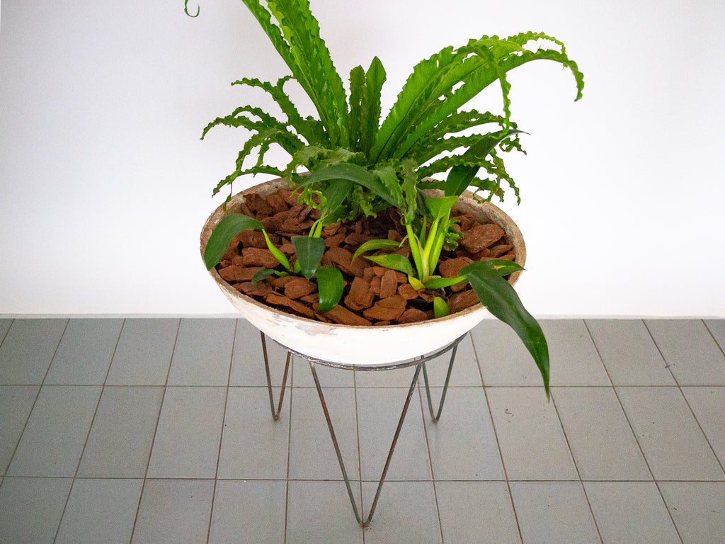 Willy Guhl | Vaso Redondo