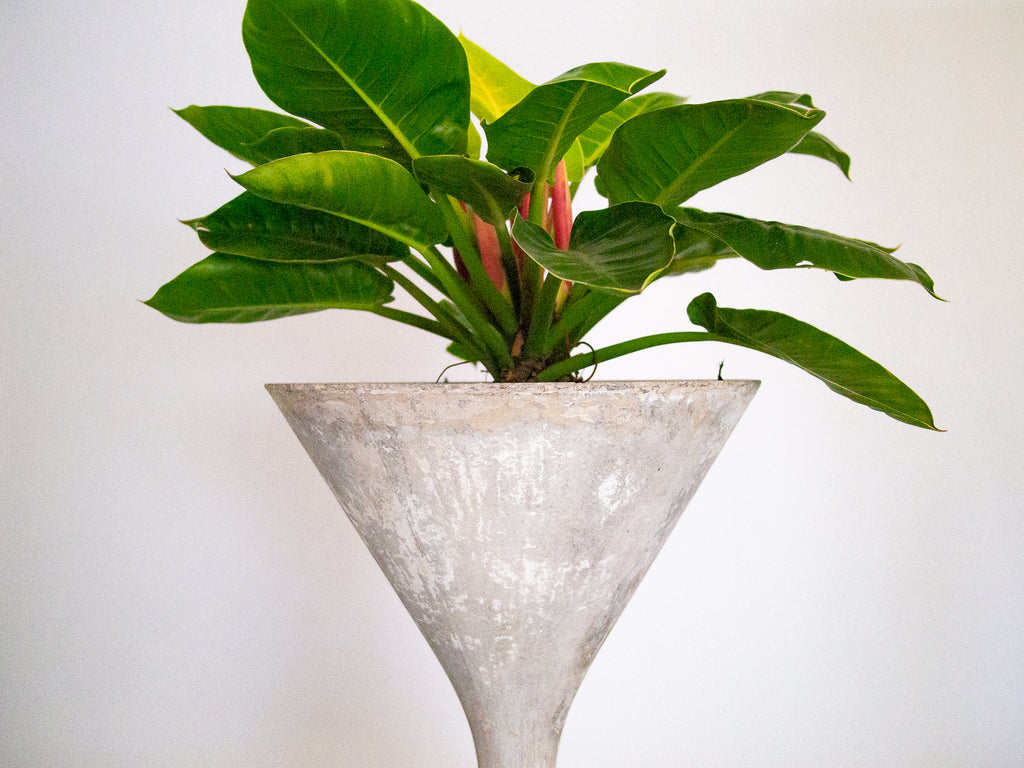 Willy Guhl | Vaso Spindel Alto