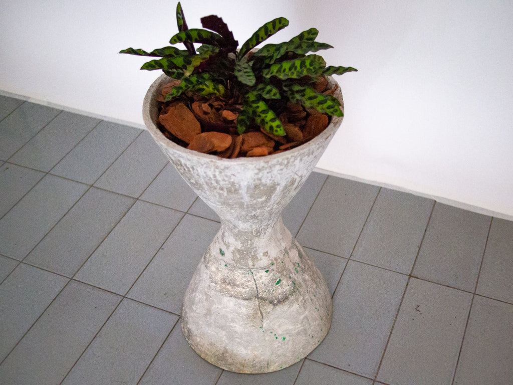 Willy Guhl | Vaso Spindel Pequeno