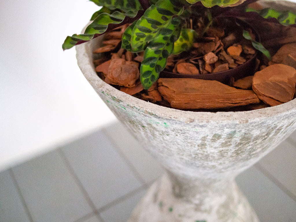 Willy Guhl | Vaso Spindel Pequeno