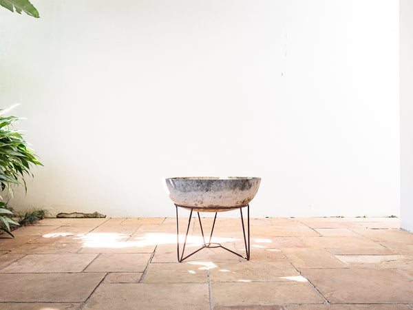 Willy Guhl | Vaso "Grego"