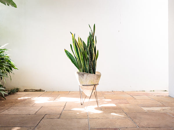 Autor Desconhecido | Vaso Cônico em Cimento