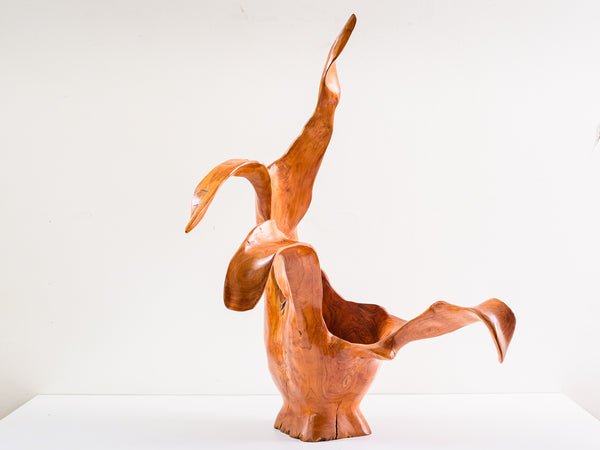 Escultura Orgânica em Madeira Nobre