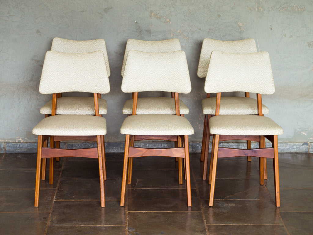 Cimo | Conjunto de Jantar 6 Lugares