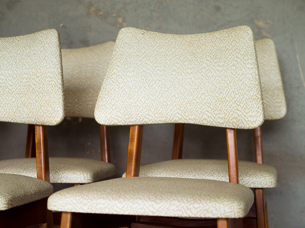 Cimo | Conjunto de Jantar 6 Lugares