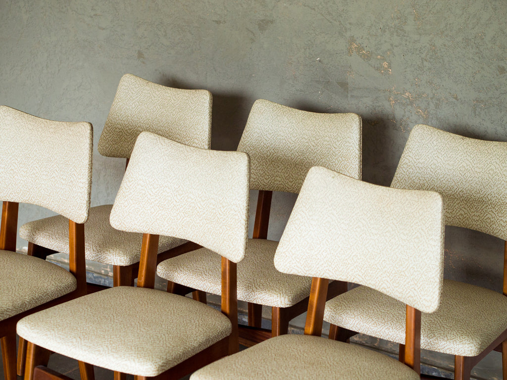 Cimo | Conjunto de Jantar 6 Lugares