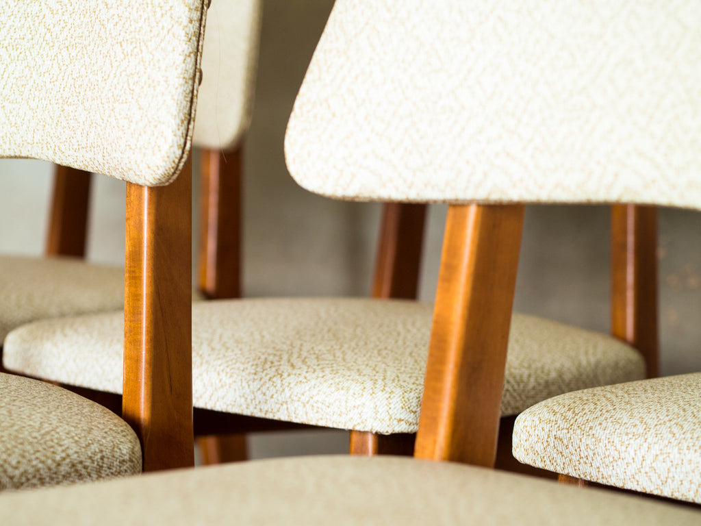 Cimo | Conjunto de Jantar 6 Lugares