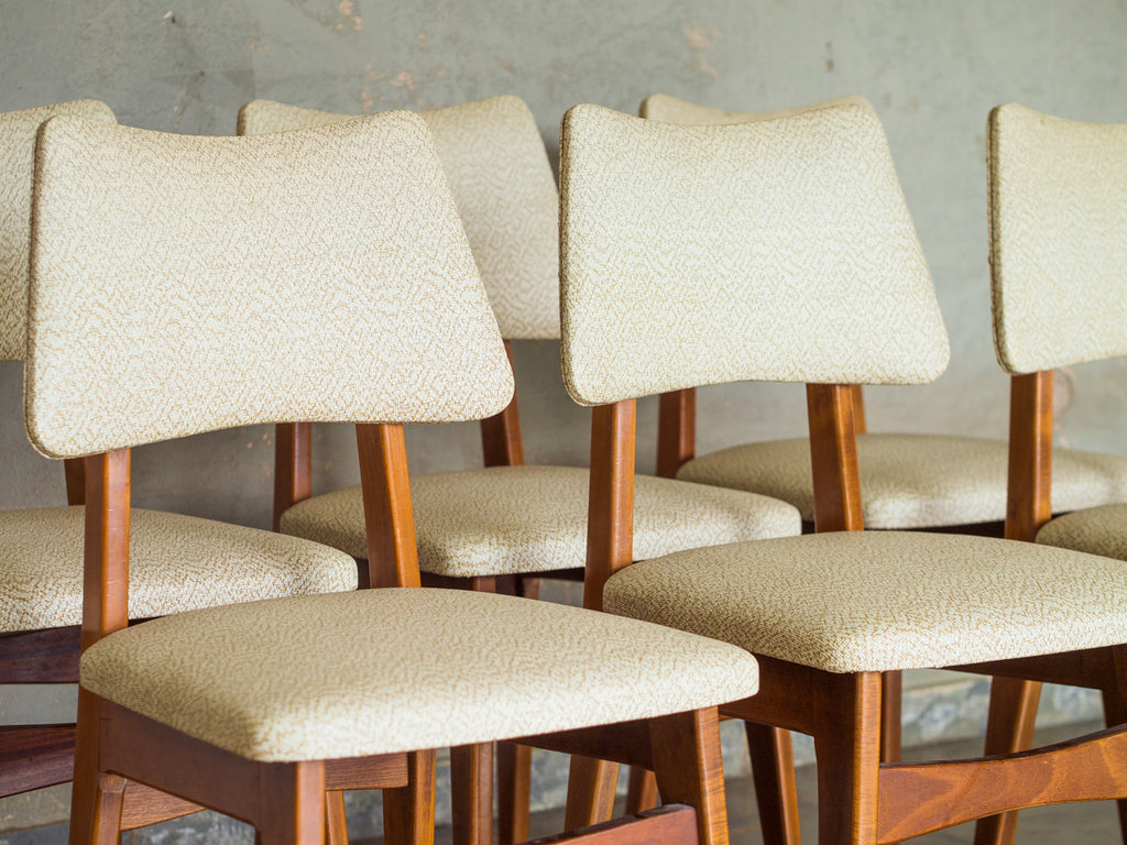 Cimo | Conjunto de Jantar 6 Lugares