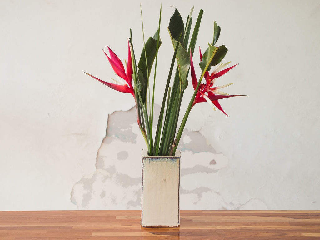 Vaso Cerâmica Vitrificada