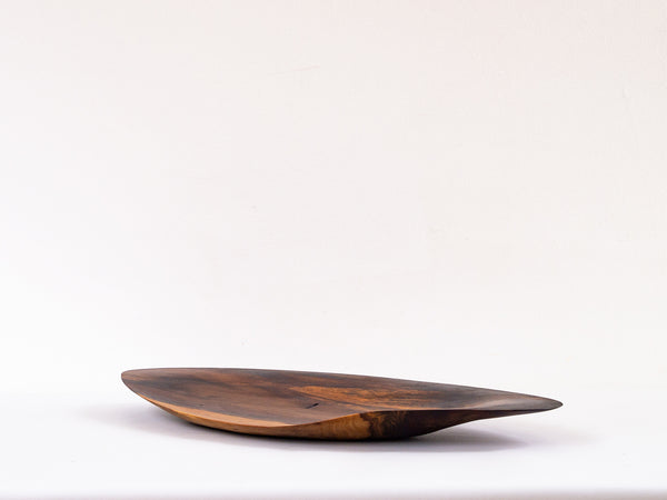 Organóide em Guajuvira 01