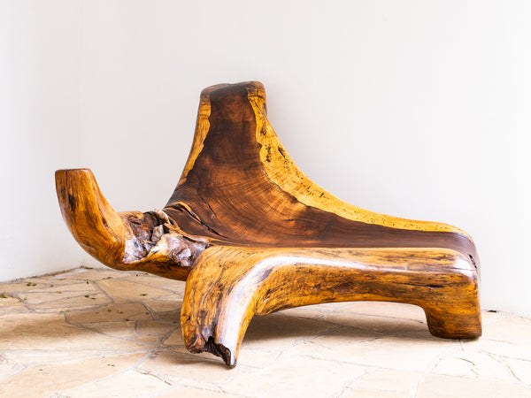 Banco Esculpido em Tronco de Jacarandá